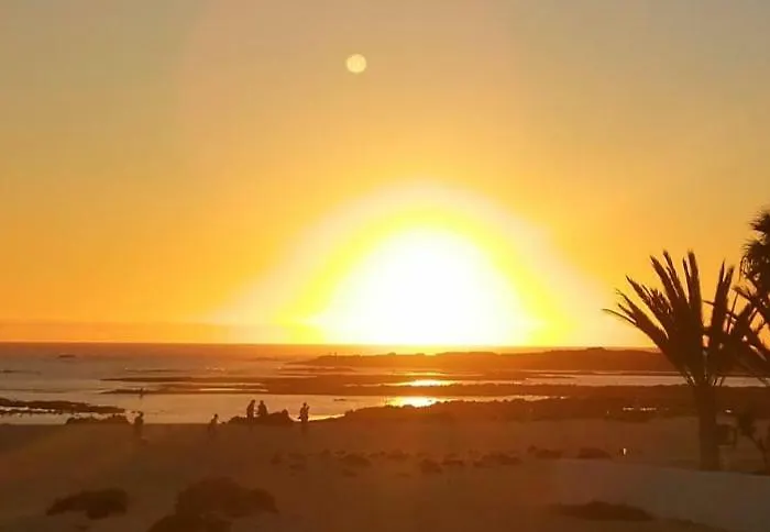 Celeste Mar コラレホ